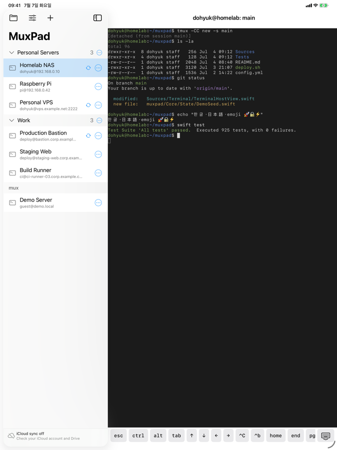 Sidebar with your Muxes and the tmux terminal on iPad