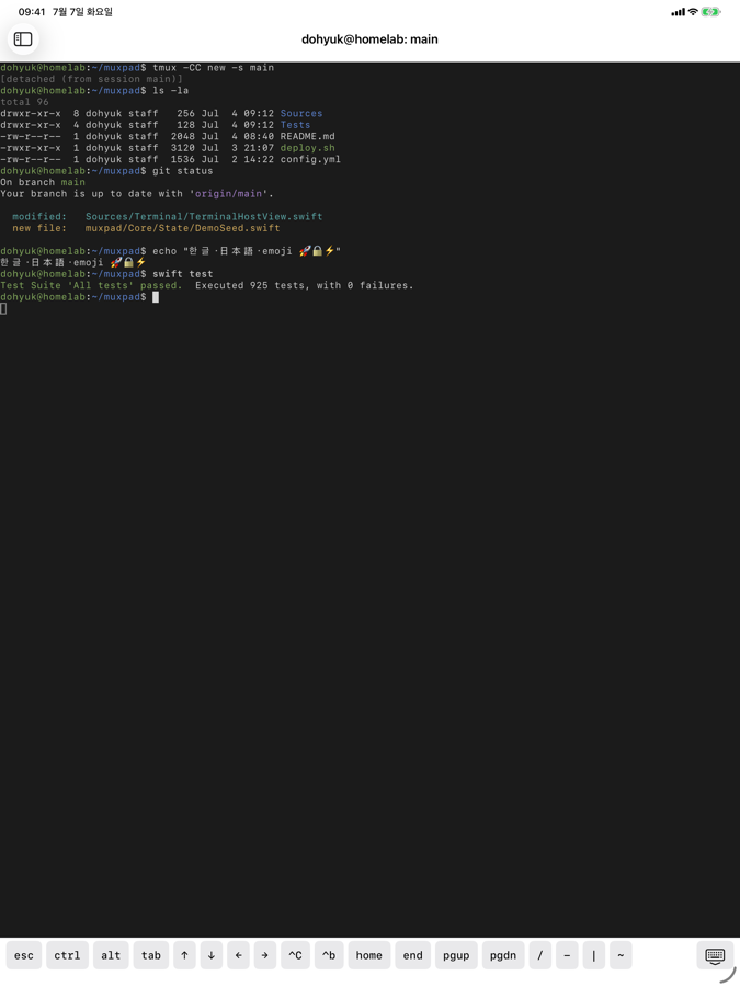 Raw tmux terminal with the key accessory bar on iPad