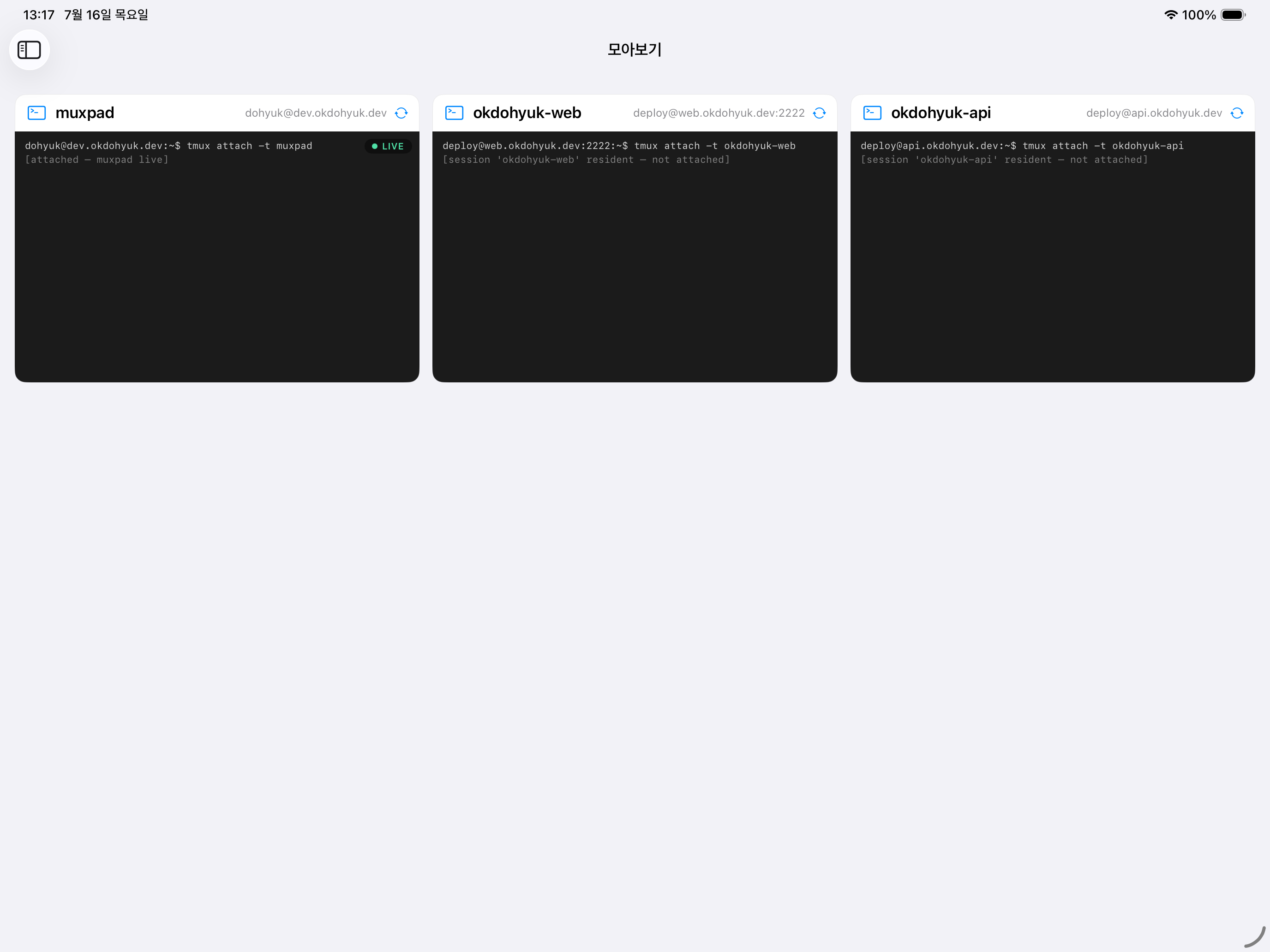 여러 서버의 tmux 세션을 한 화면에 보여 주는 MuxPad 모아보기